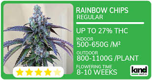 Exploring Weed Seeds Nova Scotia A Comprehensive Guide Exploring Weed Seeds Nova Scotia A Comprehensive Guide